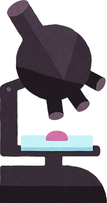 deco